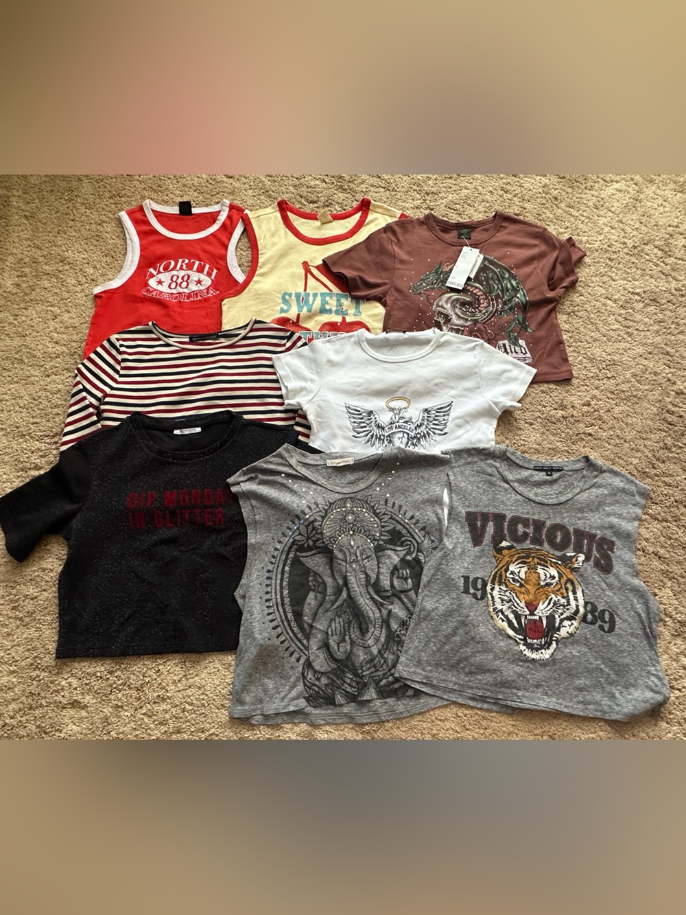 Brandy Melville Tee and Urban Outfitters Graphic Tee BUNDLE of 10 tops